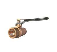 Ball Valve Brass Stainless Steel Small Spring Automatic Return Ball DN20 Female Thread 3/4" BSP 2 Way(Stainless Steel)
