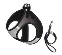 Ballerina Dance printing Dog Harness with Leash Set, Step-in Breathable Puppy Cat Dog Vest, No Pull Adjustable Puppy Harness