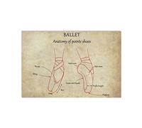 Ballet Anatomy Of Pointe Shoes Metal Tin Signs Ballet Knowledge Posters Ballet Beginners Guide Plaques Ballet Studio Room Wall Art DecInches