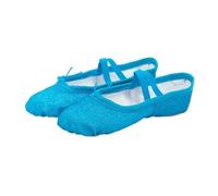 Ballet Dance Shoes Yoga Gym Flat Slippers Glitter for Girls Children Women Teacher for Dance Practice or Performance(Blue,28)