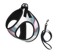 Ballet Dancer print Dog Harness, 2X Buckle,Dog Vest,No Pulling Front Leash Clip,for Small Medium Dogs