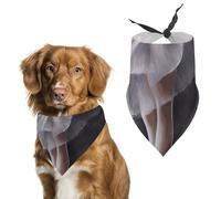 Ballet Dancer Printed Pet Scarf Polyester Triangle Scarf - One Size (27.6in X 11.8in)