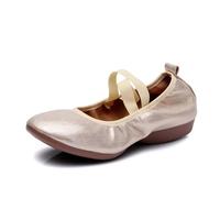 Ballet Shoe Shoes for Square Dance Flat Heel Soft Bottom Canvas Tip Practice Teachers' Latin(Silver Color Frosted,37)