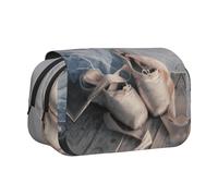 Ballet Shoedouble Layer Pencil Case With Flip Top Big Pencil Bag High Storage Pen Case Pouch Stationery Organizer Makeup Bag For Boys Girls Teen College Students School Adults & Office Supplies