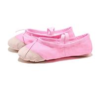 Ballet Slippers Black Red Pink White Canvas Flat Yoga Teacher Gymnastic Ballet Dance Shoes Kids Ballet for Girls Women(P-Pink,25(16cm))