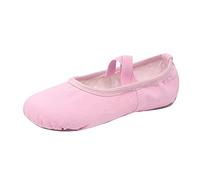 Ballet Slippers Cosy Warm Lined Leather Sole for Ballet Performance Indoor Yoga Practice Dance Class with Paws Design Girls Shoes