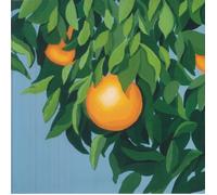 Tyler Ballgame - For The First Time, Again (Orange / White Vinyl) (LP) (Ltd) [Analog] [Vinyl LP] [VINYL]