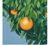 Tyler Ballgame - For The First Time, Again [VINYL]