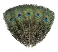 Ballinger 16Pcs Natural Peacock Feathers - 10-12 inch Large Big Peacock Feathers Bulk for DIY Crafting,Christmas,Wedding and Holiday Decorations