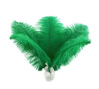 Ballinger Green Ostrich Feathers Bulk - 12pcs 10-12inch Feathers for Vase, Wedding Party Centerpieces Mardi Gras Decorations and Home Decor(Green)