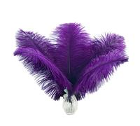 Ballinger Purple Ostrich Feathers Bulk - 12Pcs 10-12inch Feathers for Vase, Party Centerpieces Mardi Gras and Home Decor(Purple)