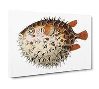 Balloon fish By George Shaw Canvas Print | Gallery Wrapped 30mm Frame Wall Art | 24x16 inches | Ready to Hang | Retro Animals Picture | Living Room Bedroom Lounge Office