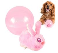 Balls for Cats 360 Rotating Moving Games