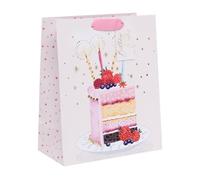 Ballyhoo Large Birthday Cake Slice Gift Bag, 31.5 x 26 x 13.5 cms, Multi-Coloured
