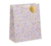 Ballyhoo Large Hearts Gift Bag, for Birthdays and Other Celebrations, 31.5 x 26 x 13.5 cms, Multi-Coloured