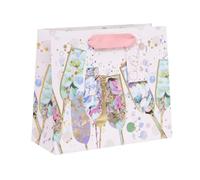 Ballyhoo Medium Landscape Celebration Glasses Gift Bag, for Birthdays, Engagements, Wedding and Other Celebrations, 21.5 x 25.3 x 10.2 cm, Multi-Coloured