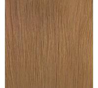 Balmain Backstage Weft 100% Human Hair 40cm 1pcs 9A