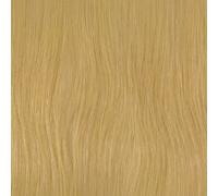 Balmain Backstage Weft 100% Human Hair 40cm 1pcs L10