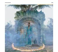 Baloji - 137 Avenue Kaniama