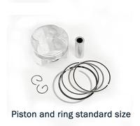 BALTDJL 55mm 55.25mm 55.5mm 55.75mm 56mm STD +25 +50 +75 +100 0.25 0.5 0.75 1.0 Motorcycle Piston Rings Kit OEM 13101-MY9-690 Engine Parts(55mm)