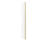 Balterley Drakelow Contemporary Bathroom 8mm Glass Wetroom Return Screen with Brass Profile, Brushed Brass, 1950 x 28 x 215mm