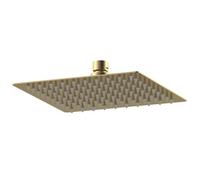 Balterley Square Fixed Head Brushed Brass 200mm in Metallics Balterley Metallics