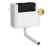 Balterley Concealed Cistern with Dual Flush, Water Saving Side Inlet Concealed Toilet Cistern & Traditional Flush Plate for Back to Wall & Wall Hung Toilets - 340x142x296mm (Brushed Brass/White)