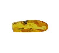 Baltic Amber Fossil Natural stone - 17.2g