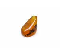 Baltic Amber Fossil Natural stone - 20.6g