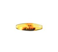 Baltic Amber fossil with a Fly Insect - Natural stone 4.6g