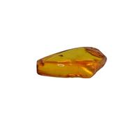 Baltic Amber fossil with a Fly Insect - Natural stones - 2.3g