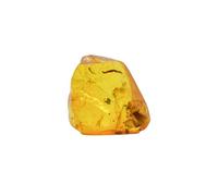 Baltic Amber fossil with a Moth Insect - Natural stones - 1.3g