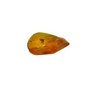 Baltic Amber Fossil with an Ant Natural stone - 2.3g