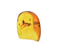 Baltic Amber Fossil with Flies Insect - Natural stones - 2g - Collector Item