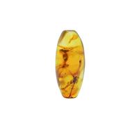 Baltic Amber Fossil with Flies Insect - Natural stones - 5.0g - Collector Item