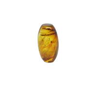 Baltic Amber Fossil with Grass and Moss - Natural stone 3.59g