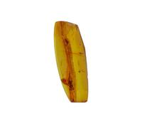 Baltic Amber fossil with Mosquito, Bee, Spider Insect - Natural stones - 1.2g