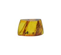 Baltic Amber fossil with Mosquito Insect - Natural stone 2g