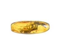 Baltic Amber Fossil with Moss Insect Natural stone - 5g