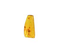 Baltic Amber Inclusion with Flys - Natural stone 3.5g