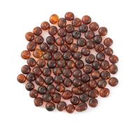 Baltic Amber Loose Bead with drilled Hole - 10 Grams - 4-6 mm - Raw Cognac