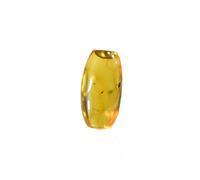 Baltic Amber with a Fly Insect Natural stone - 4.8g