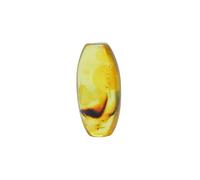 Baltic Amber with a Fly Insect Natural stone - 7.0g