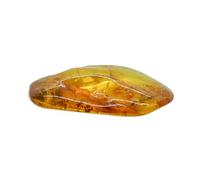 Baltic Amber with a Fly Insect - Natural stones - 29.50g