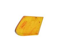 Baltic Amber with a Fly Insect - Natural stones - 4.2g - Collector Item - Amber