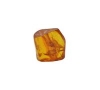 Baltic Amber with a Winged Insect Natural stone - 2.0g