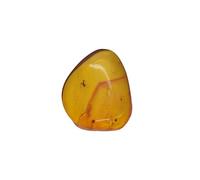Baltic Amber with Ant Insect Natural stone - 2.5g
