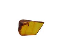 Baltic Amber with Beetle and Insect Wing Insect Natural stone - 2.9g