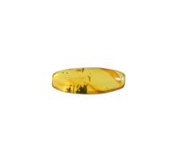 Baltic Amber with Beetle and Moss Insect Natural stone - 3.97g
