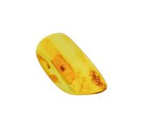 Baltic Amber with Fly Insect Natural stone - 1.7g